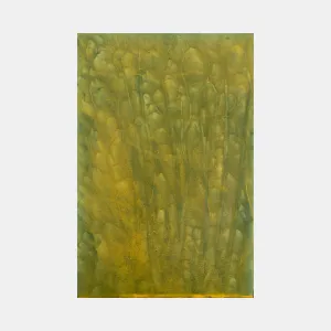 Biophilia 32