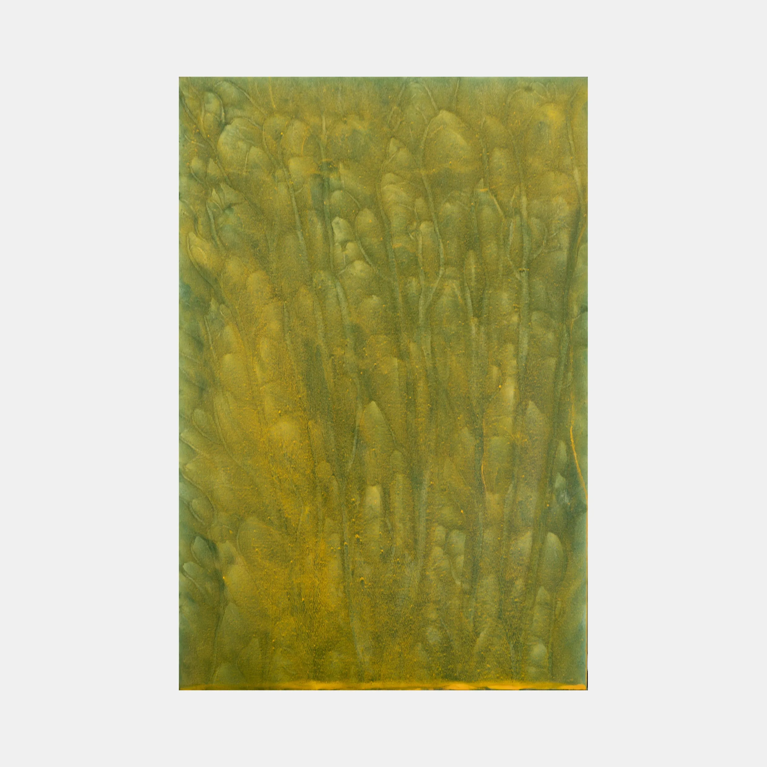 Biophilia 32