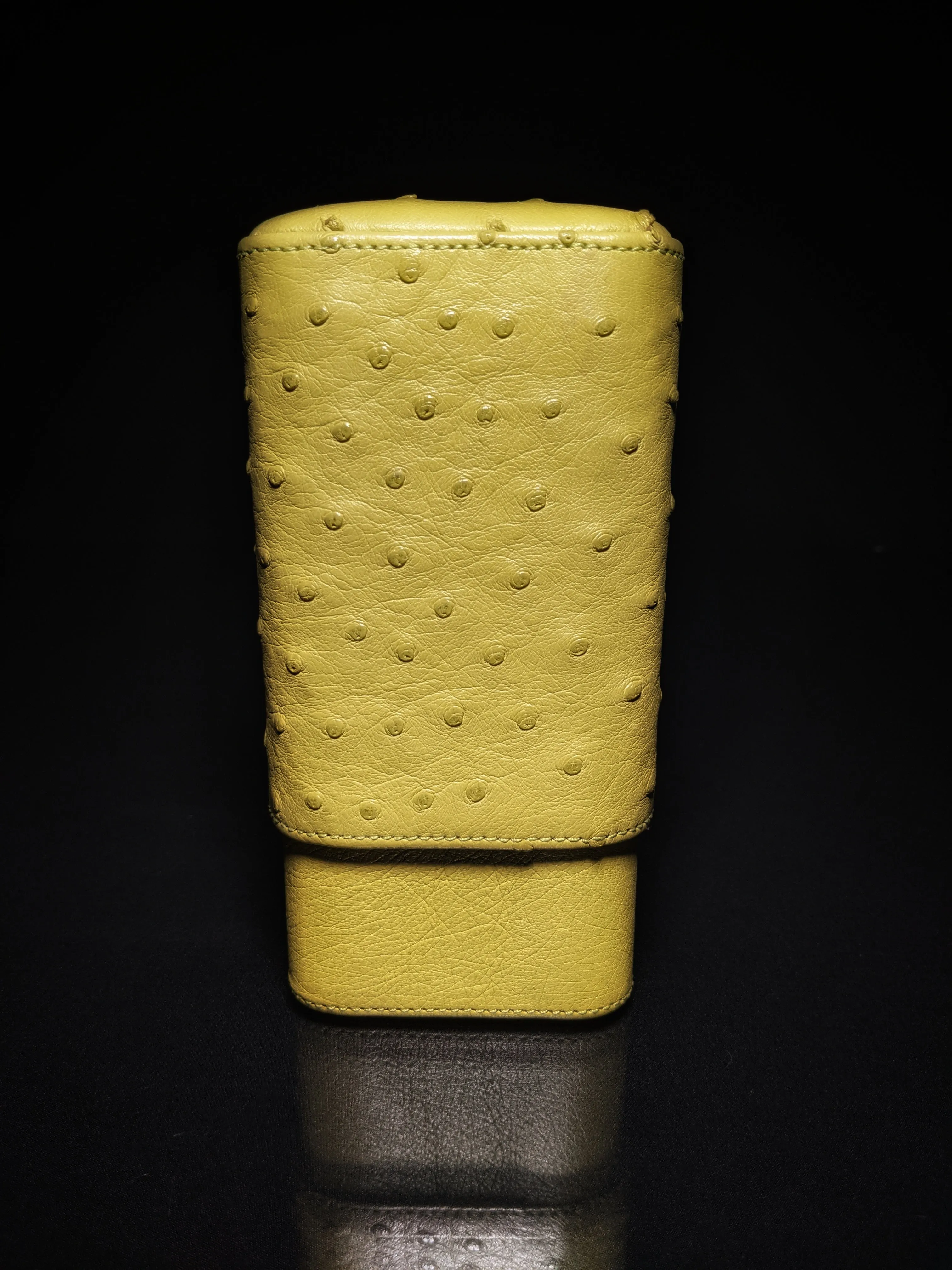 Brizard and Co Ostrich Matcha 3 Cigar Case