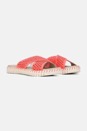 Sandalen - Raspberry