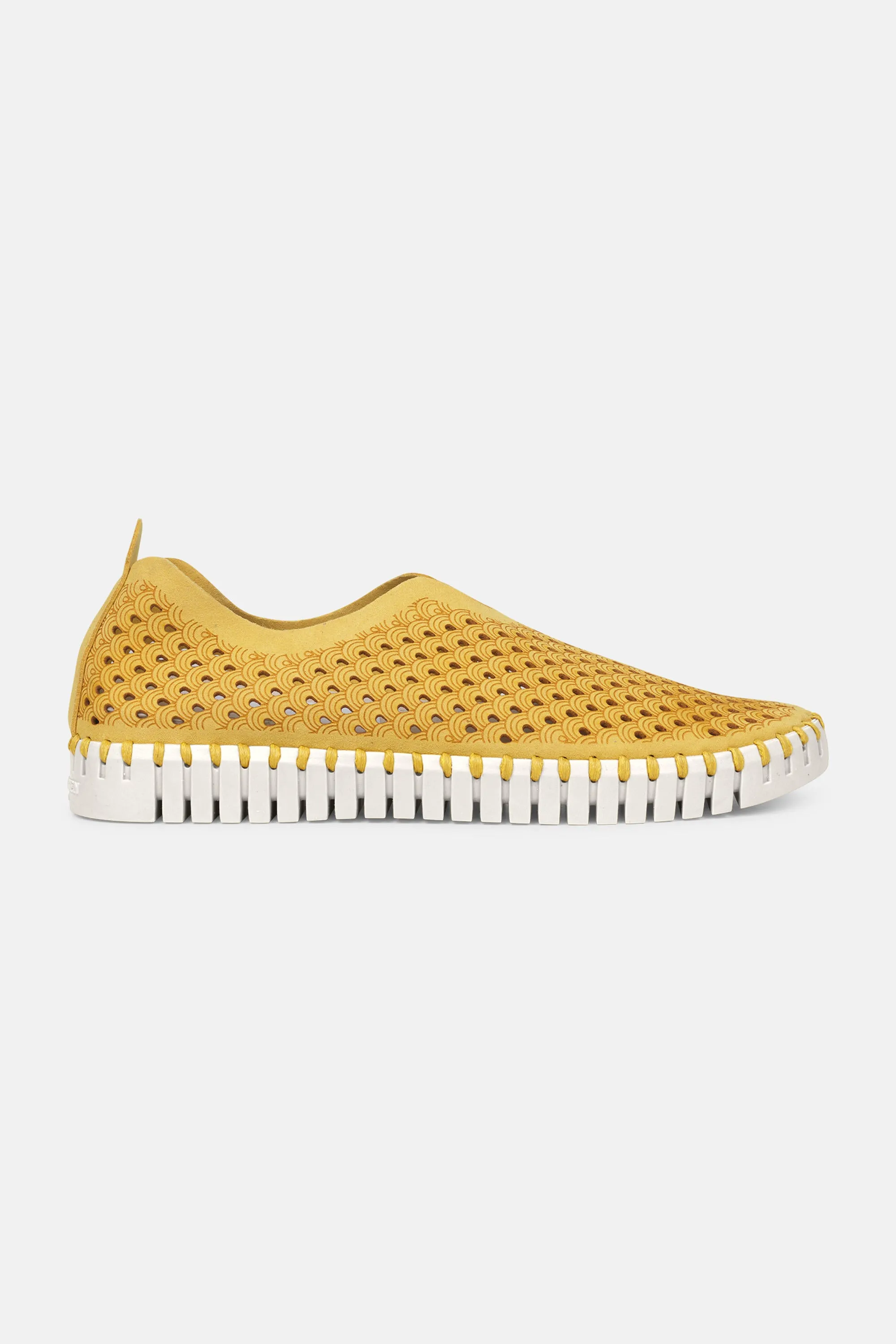 Tulip Slipper - Golden Rod